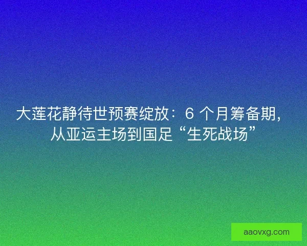 大莲花静待世预赛绽放：6 个月筹备期，从亚运主场到国足 “生死战场”