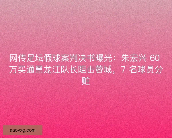 网传足坛假球案判决书曝光：朱宏兴 60 万买通黑龙江队长阻击蓉城，7 名球员分赃